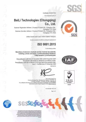 ISO9001(英文)