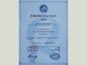 ISO9001(中文)