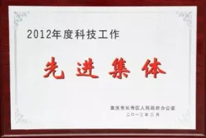 荣誉证书