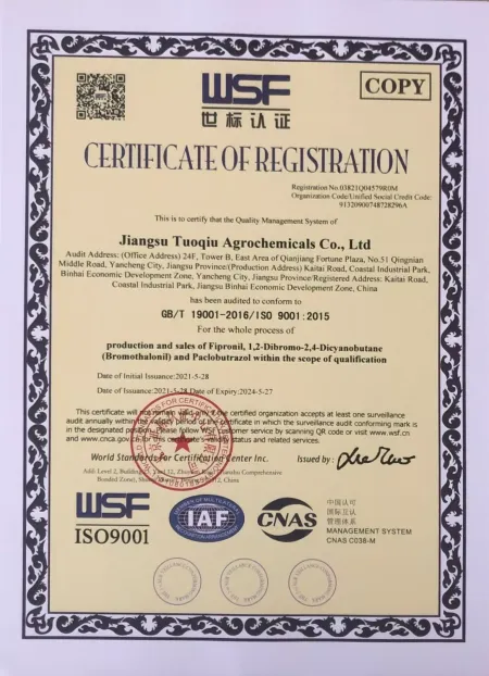 ISO9001(英文)