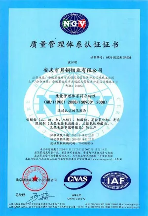 ISO9001(中文)