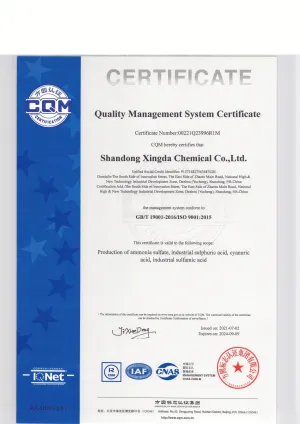 ISO9001(英文)
