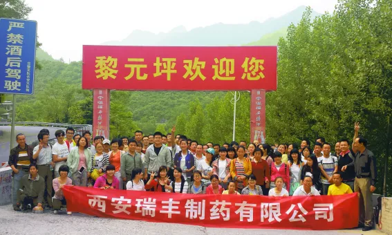 公司活动