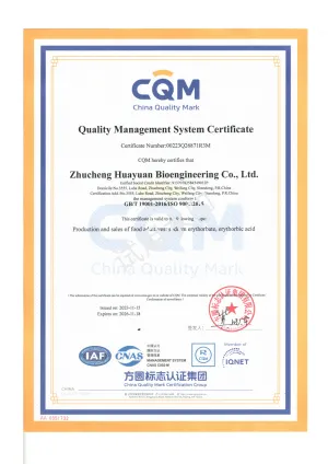 ISO9001(英文)