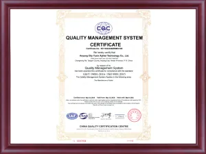 ISO9001(英文)