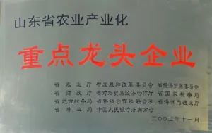 荣誉证书