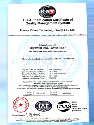 ISO9001(英文)