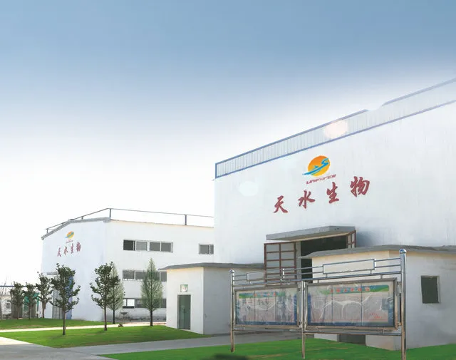 厂房大门