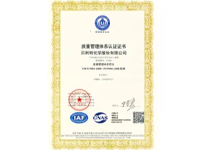 ISO9001(中文)