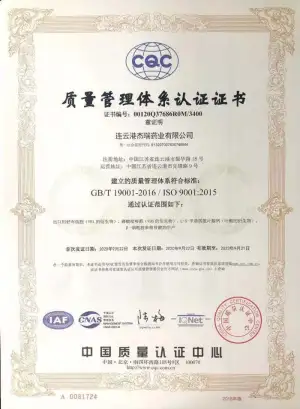 ISO9001(中文)