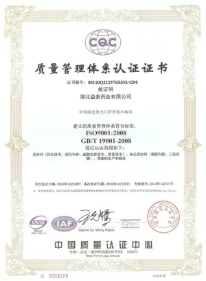 ISO9001(中文)
