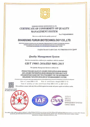ISO9001(英文)