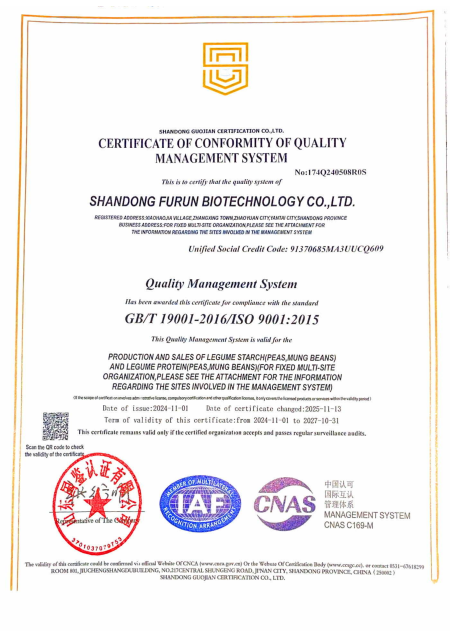 ISO9001(英文)