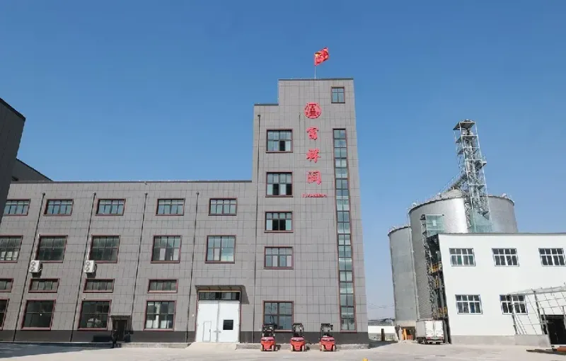 厂房大门