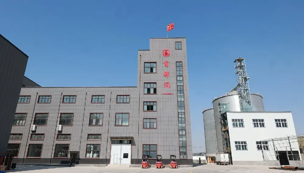 厂房大门