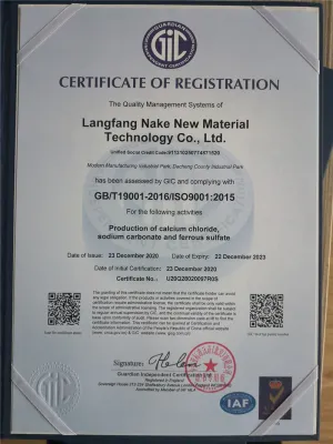 ISO9001(英文)