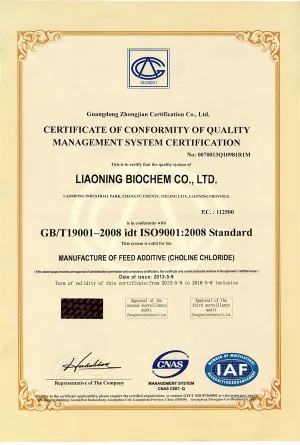 ISO9001(英文)