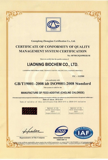 ISO9001(英文)