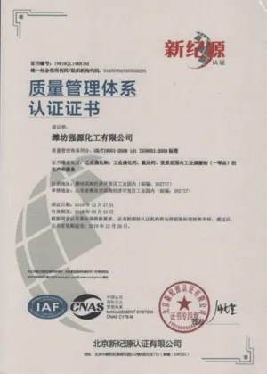 ISO9001(中文)