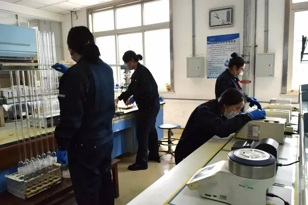 办公区域