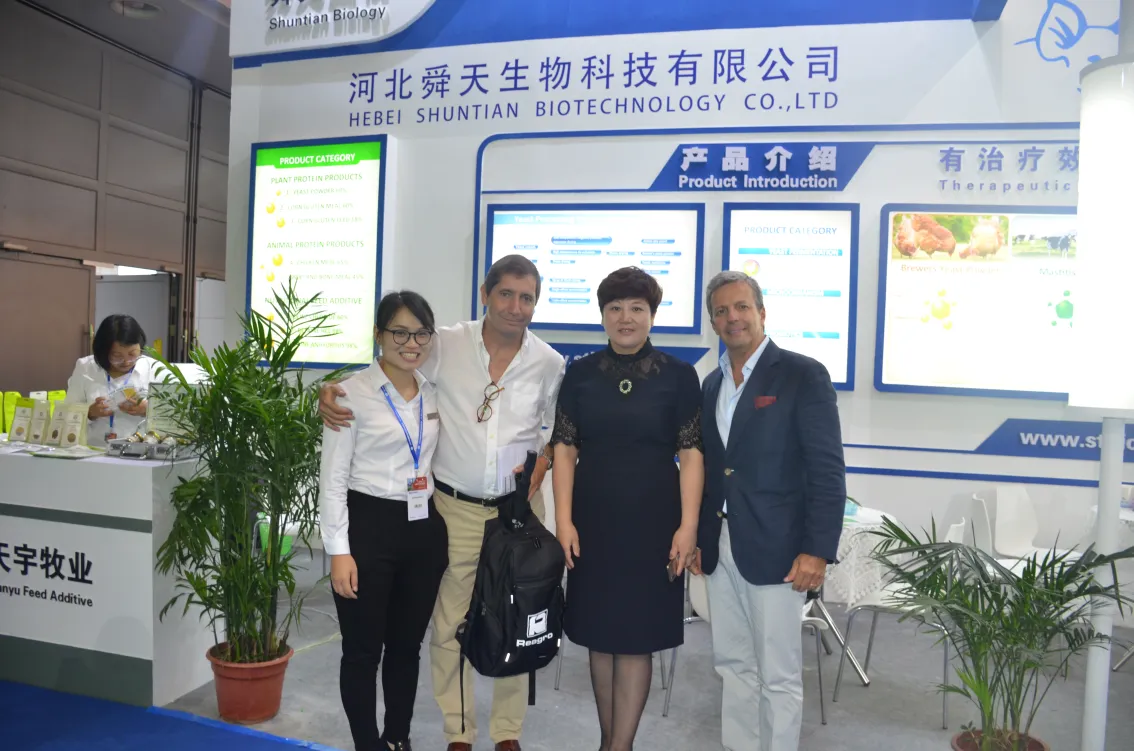 公司参展