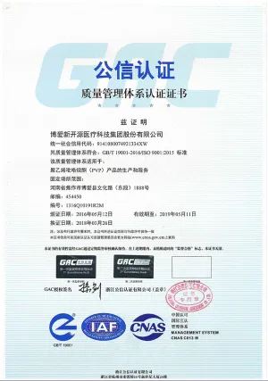 ISO9001(中文)