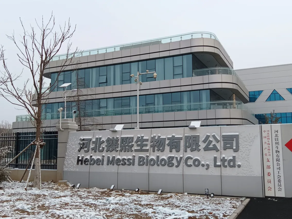 办公区域