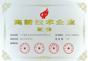 荣誉证书