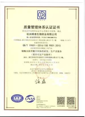 ISO9001(中文)