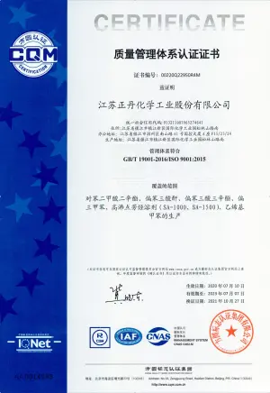 ISO9001(中文)