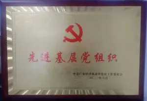荣誉证书