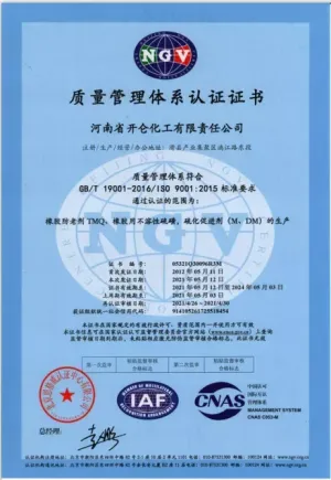 ISO9001(中文)