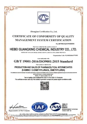 ISO9001(英文)