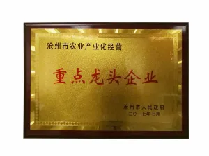 荣誉证书