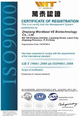 ISO9001(英文)