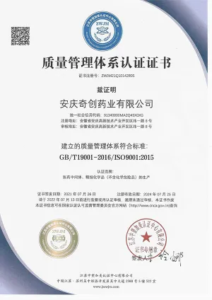 ISO9001(中文)