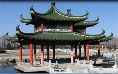 其他图片
