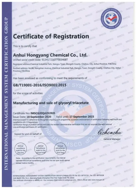 ISO9001(英文)