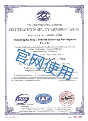ISO9001(英文)