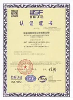 ISO9001(中文)