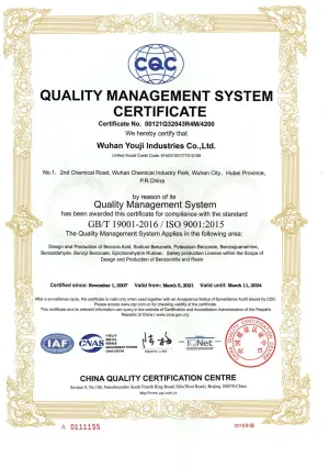 ISO9001(英文)