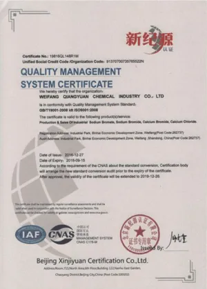 ISO9001(英文)