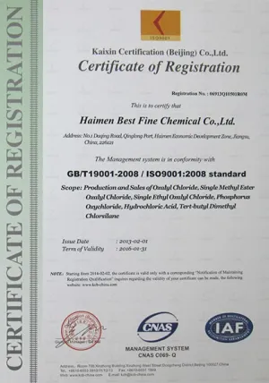 ISO9001(英文)