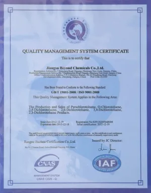 ISO9001(英文)