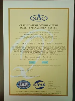 ISO9001(英文)