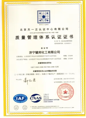 ISO9001(中文)