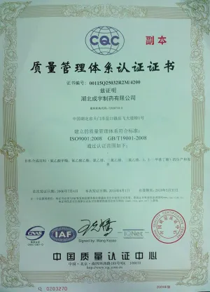 ISO9001(中文)