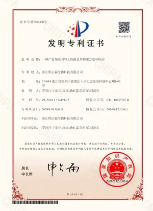 专利证书