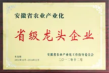 荣誉证书