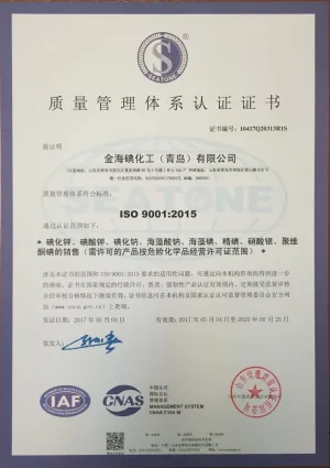 ISO9001(中文)